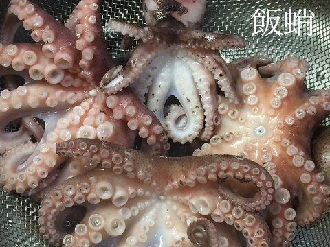 イイダコの簡単下拵え